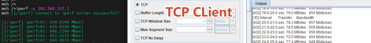 tcp_client